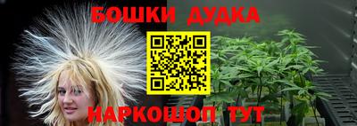 a pvp Новодвинск