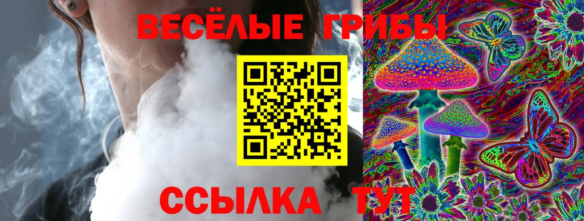 Холмск  Псилоцибиновые грибы Psilocybine cubensis  Вход с VPN 
